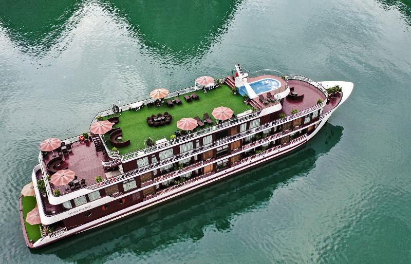 Dora Cruise 5