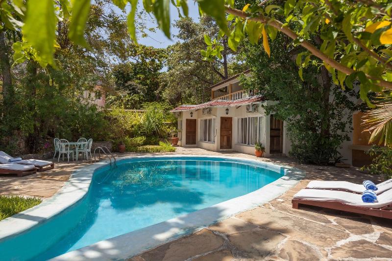 Blue Marlin Beach Hotel image