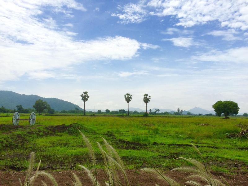 Wanlapa Farmstay