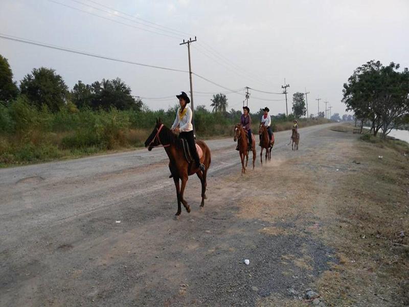 Wanlapa Farmstay