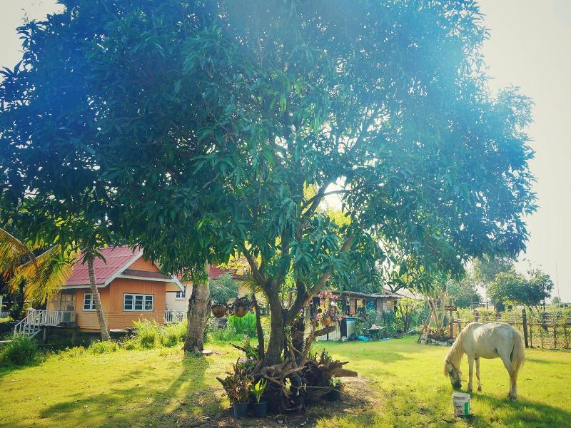 Wanlapa Farmstay