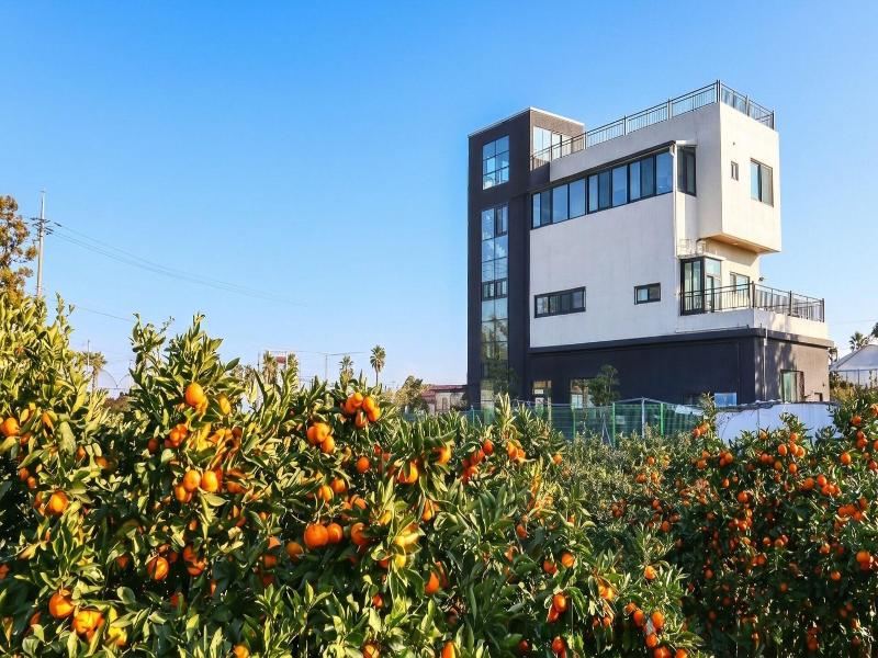 Jeju Dk House Pension