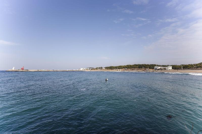 Ocean Family Hotel image