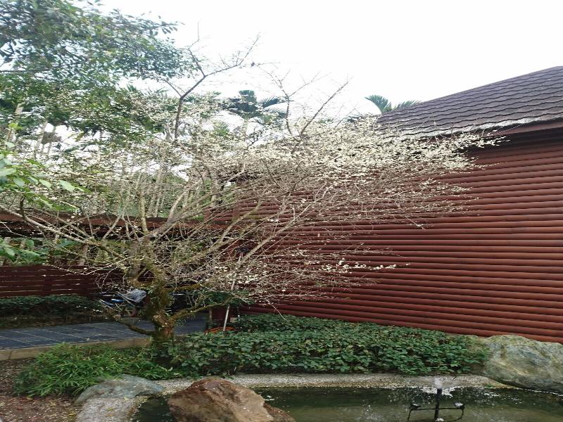 Sakura Villa image