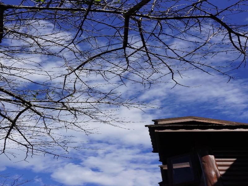 Sakura Villa image