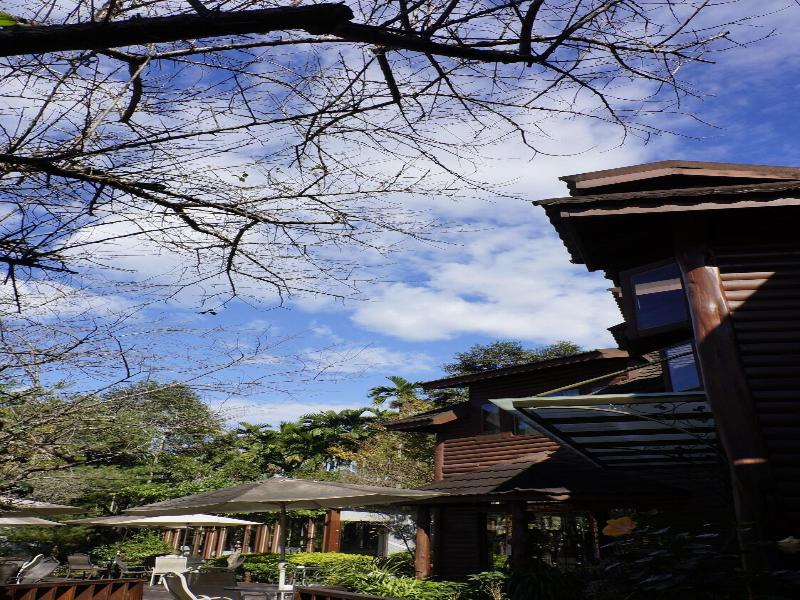 Sakura Villa image