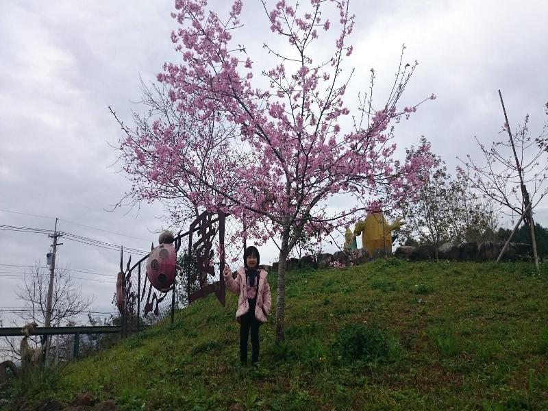 Sakura Villa image