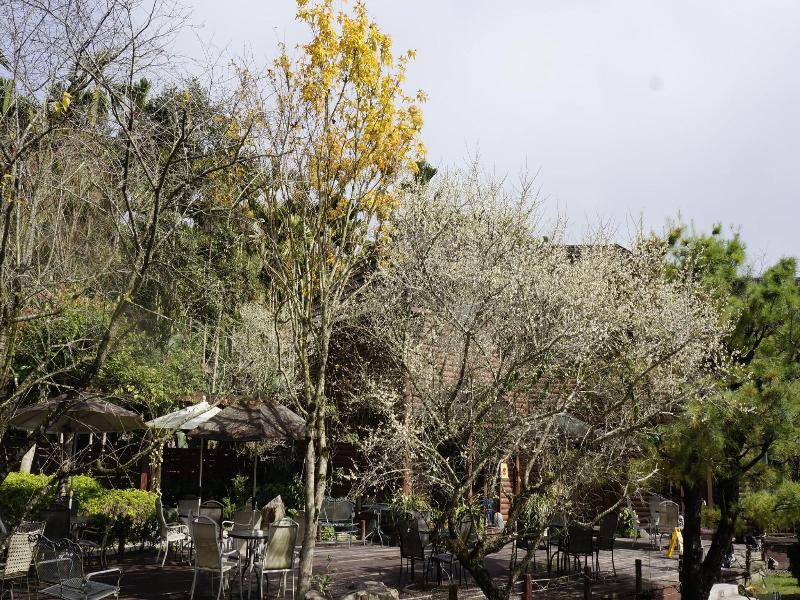 Sakura Villa image