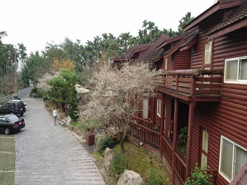 Sakura Villa image