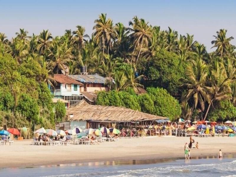 Resort The Lohias image