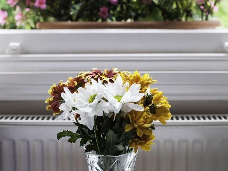 Primrose Guesthouse image