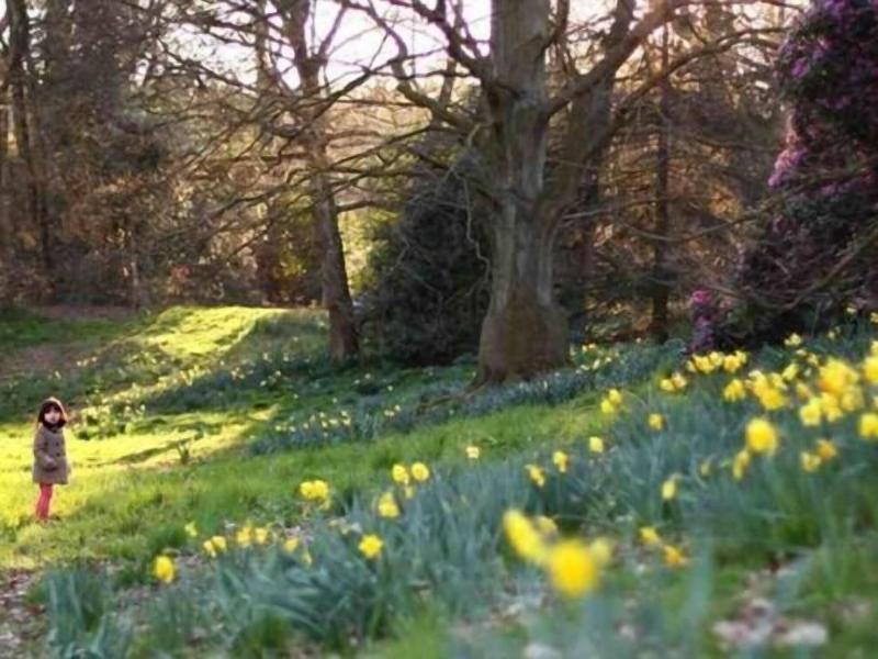 Primrose Guesthouse image