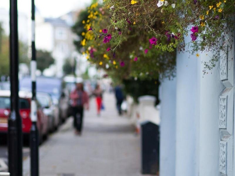 Primrose Guesthouse image