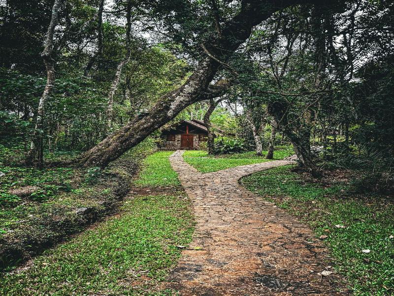 Living Heritage Koslanda
