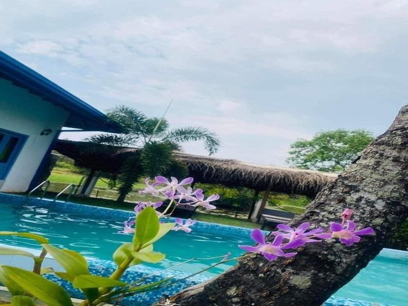 Seth Villa By Magampua Resorts image