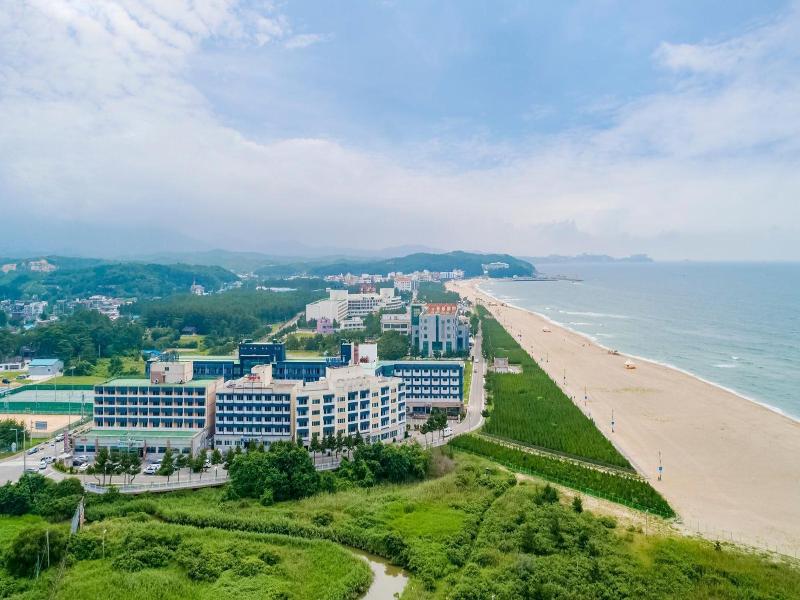 Yangyang Beach Condo — photo 15