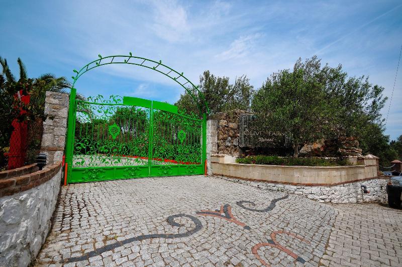 Olive Farm Of Datca — photo 2