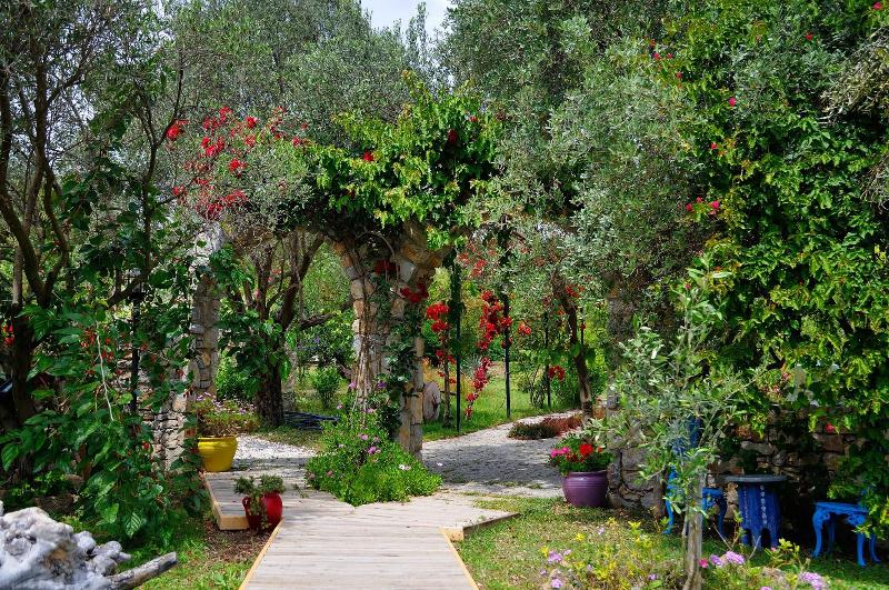 Olive Farm Of Datca — photo 4
