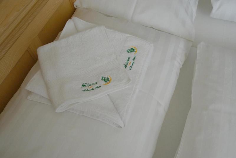 Hotel Diana image