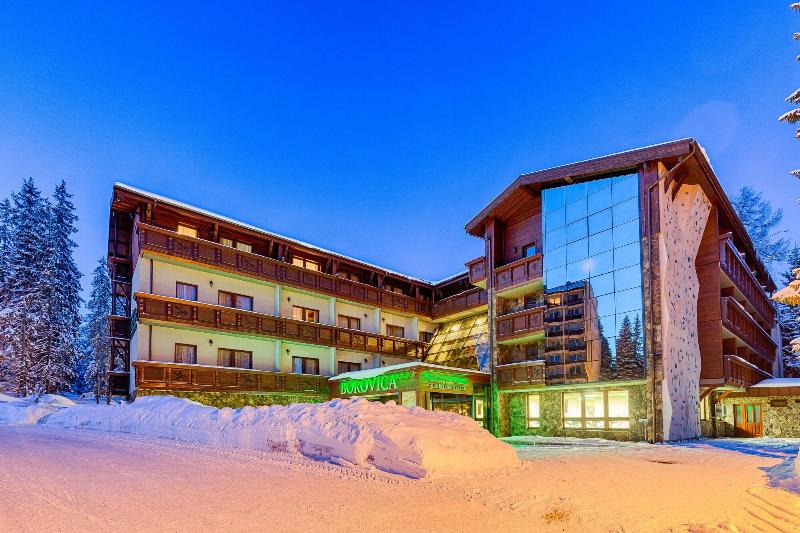 Wellness Hotel Borovica image