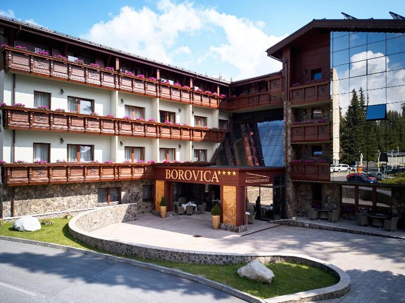 Wellness Hotel Borovica image