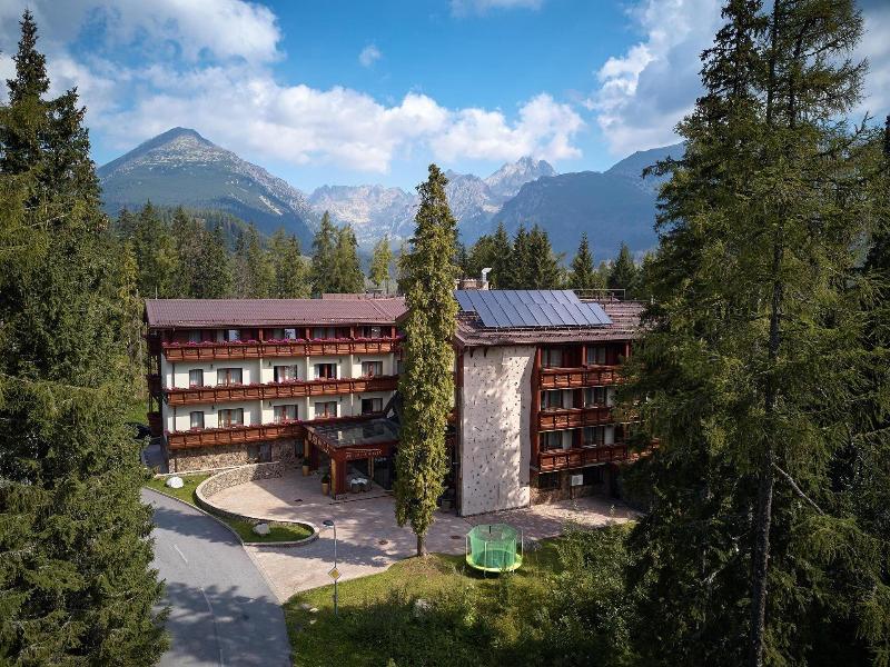 Wellness Hotel Borovica image