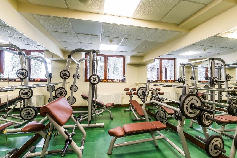 Wellness Hotel Borovica image