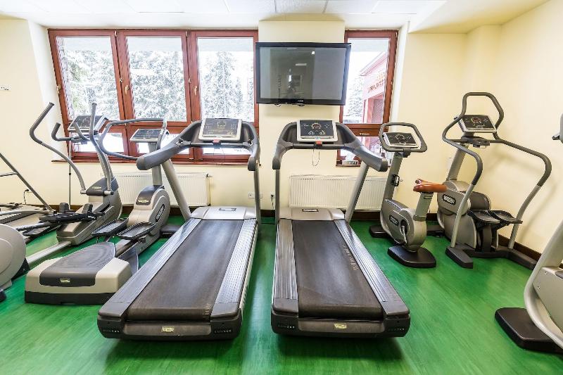 Wellness Hotel Borovica image