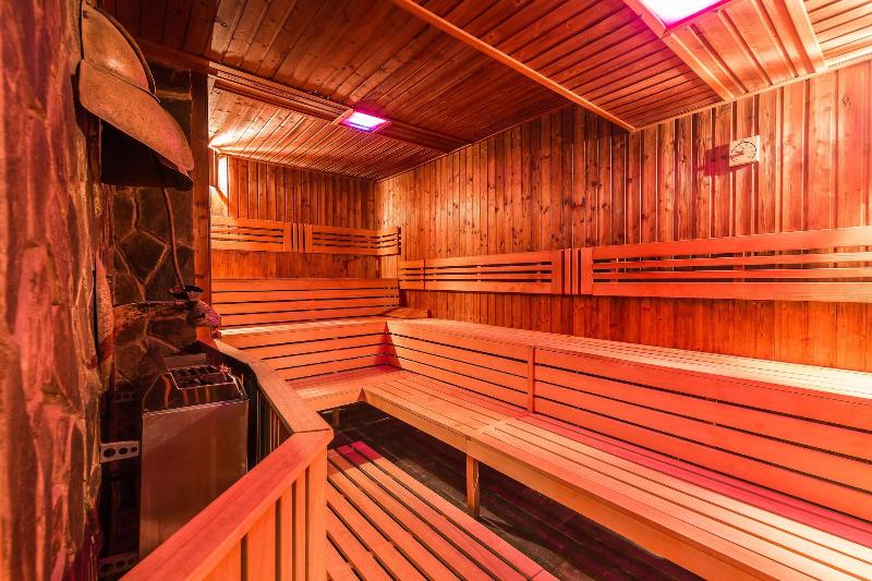 Wellness Hotel Borovica image