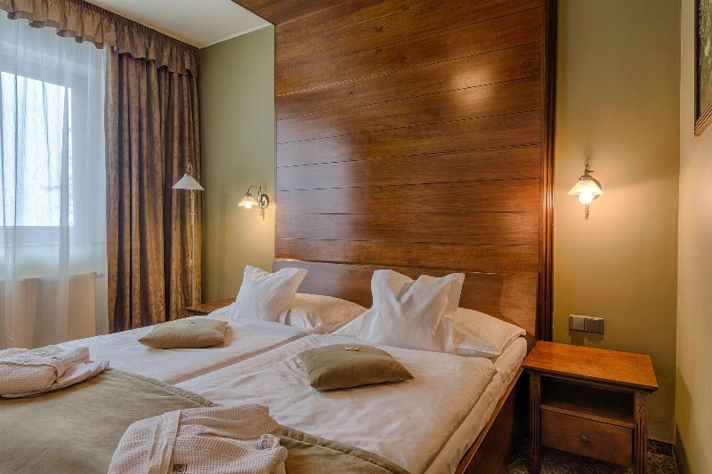 Wellness Hotel Borovica image