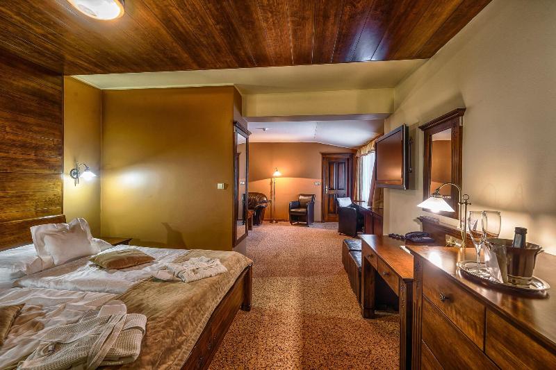 Wellness Hotel Borovica image