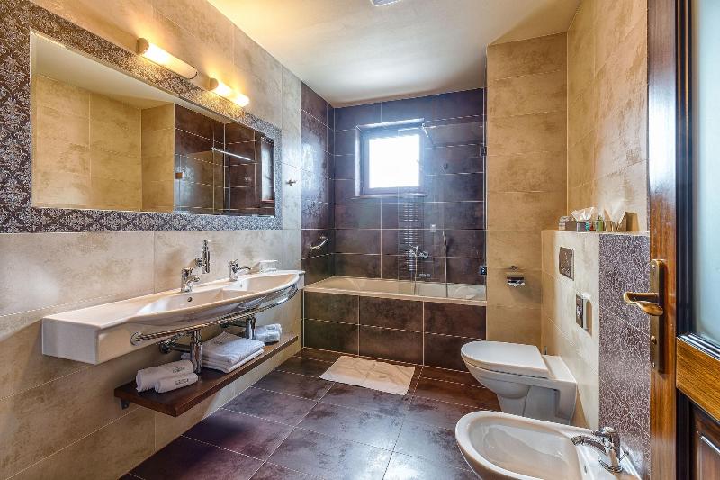 Wellness Hotel Borovica image