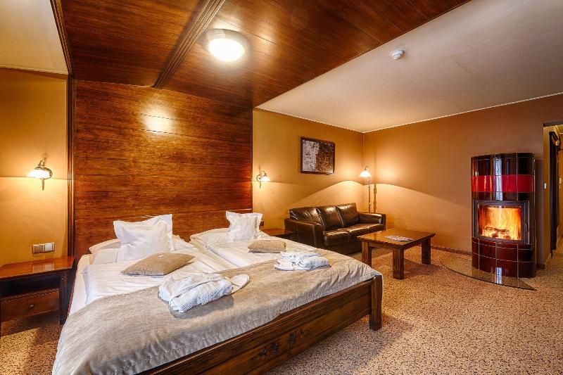Wellness Hotel Borovica image
