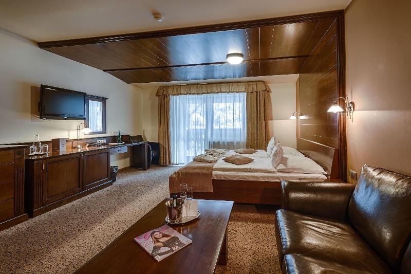 Wellness Hotel Borovica image