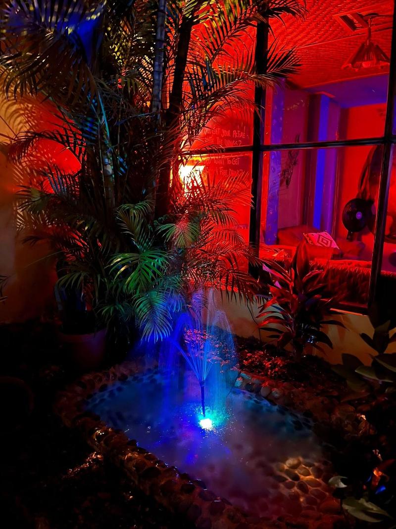 Dreamkapture Hostel — general view