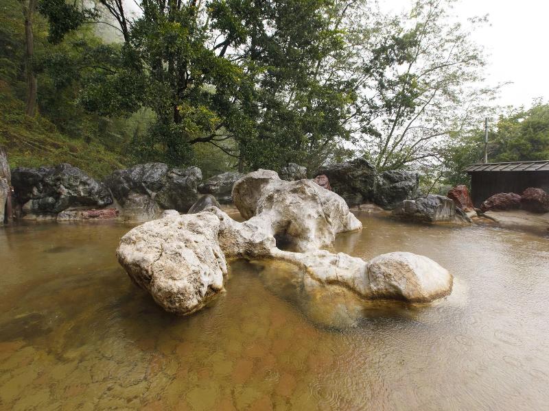Wakamiro image
