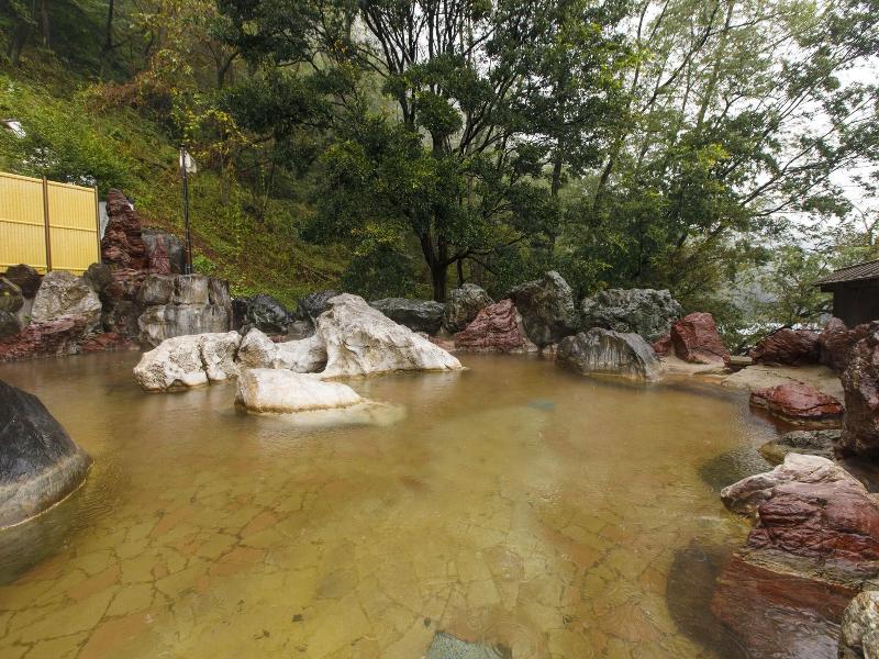 Wakamiro image