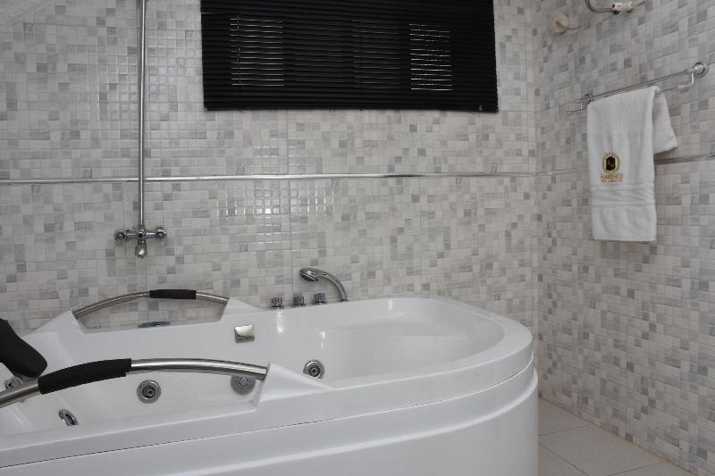 Ambience Hotel And Resorts image