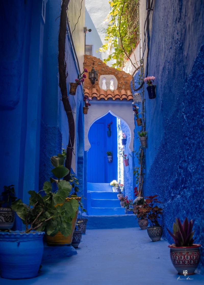 Casa Blue Star image