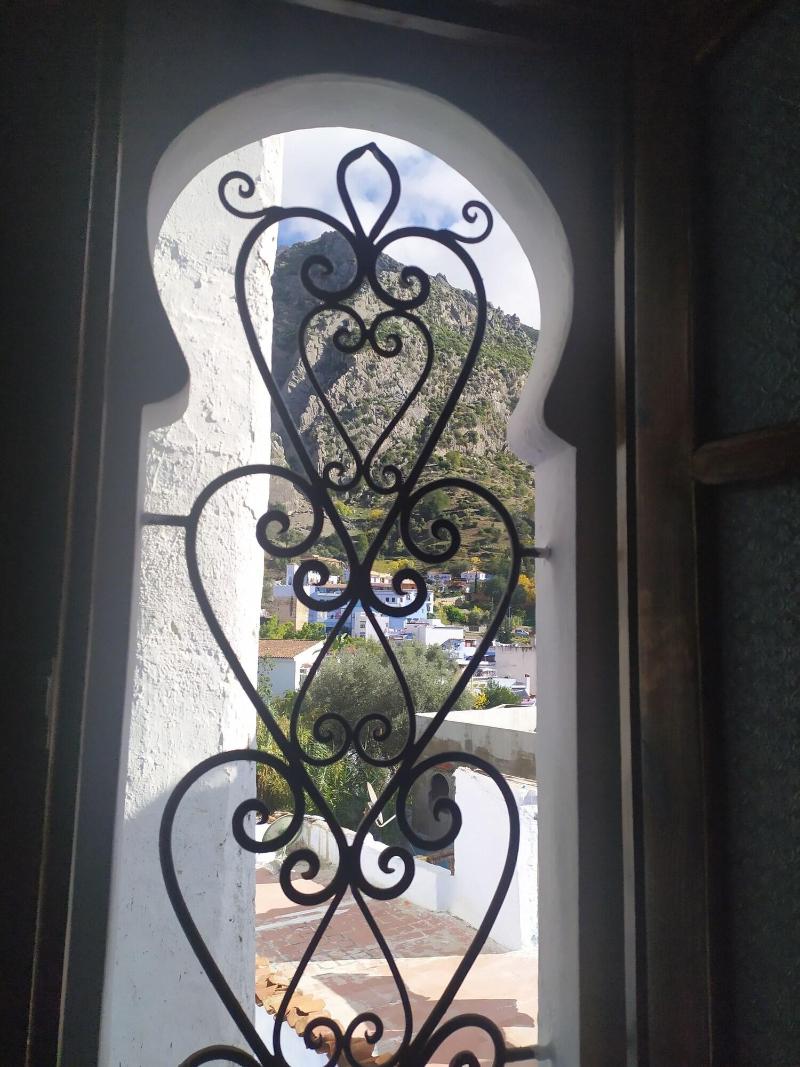 Casa Blue Star image