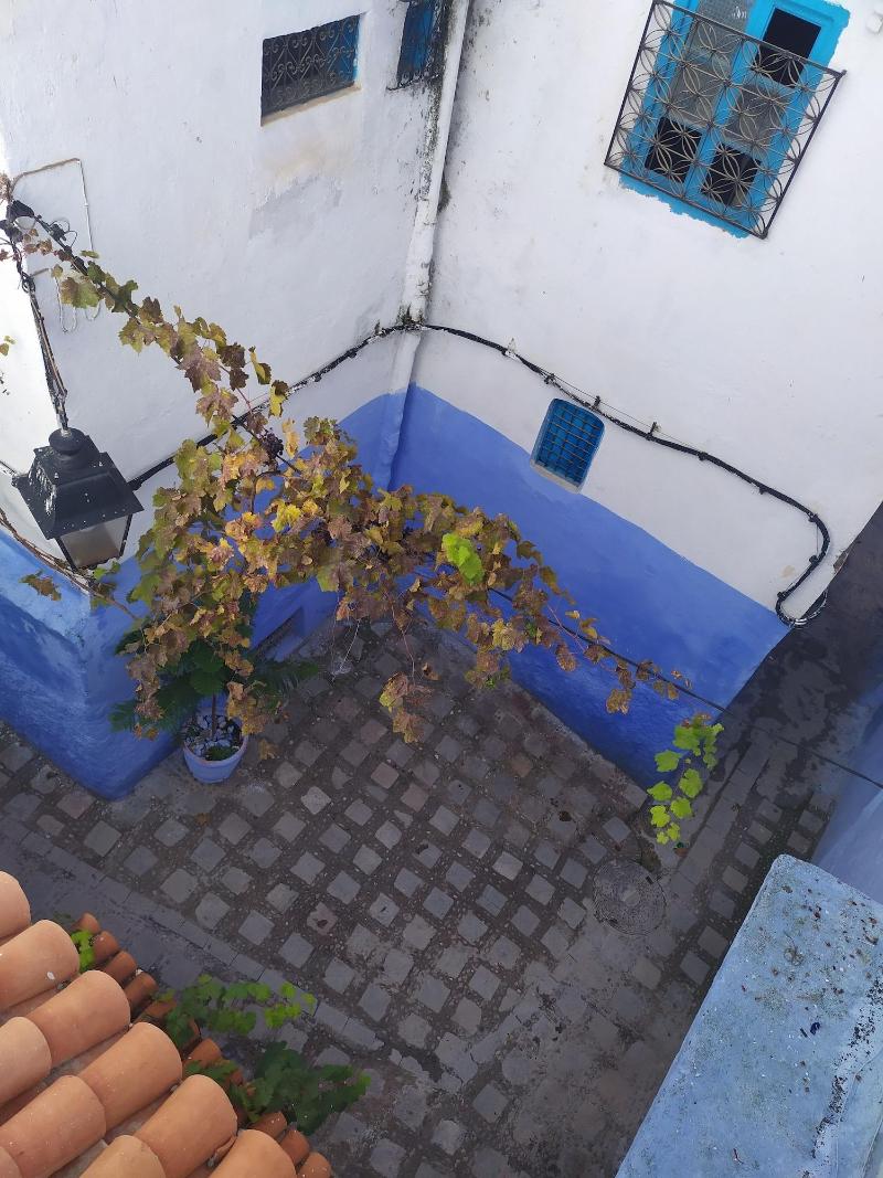 Casa Blue Star image