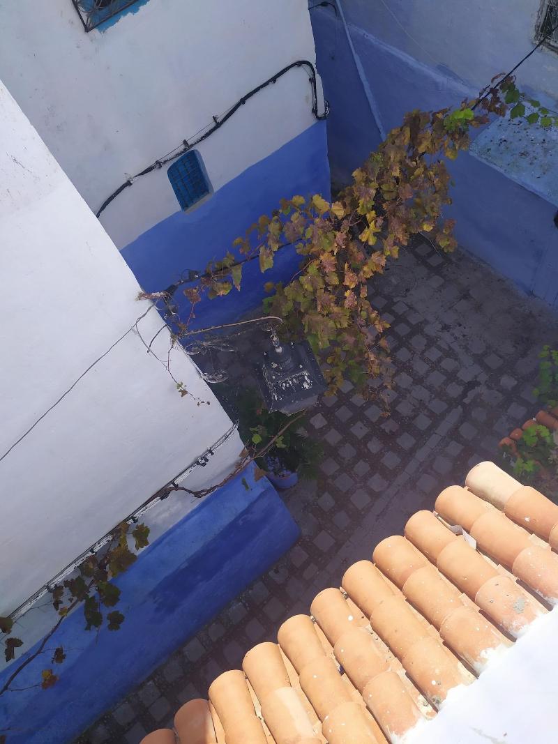 Casa Blue Star image