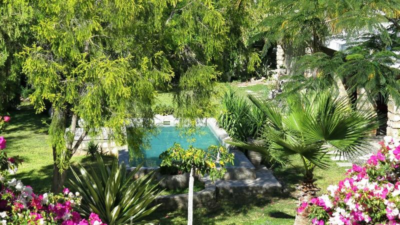Tarentaal Guest Farm 2