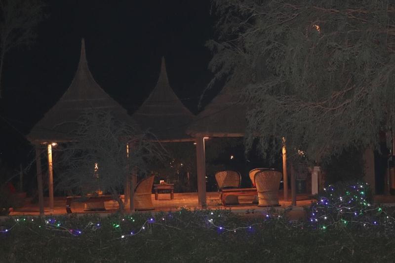 Desert Nights image