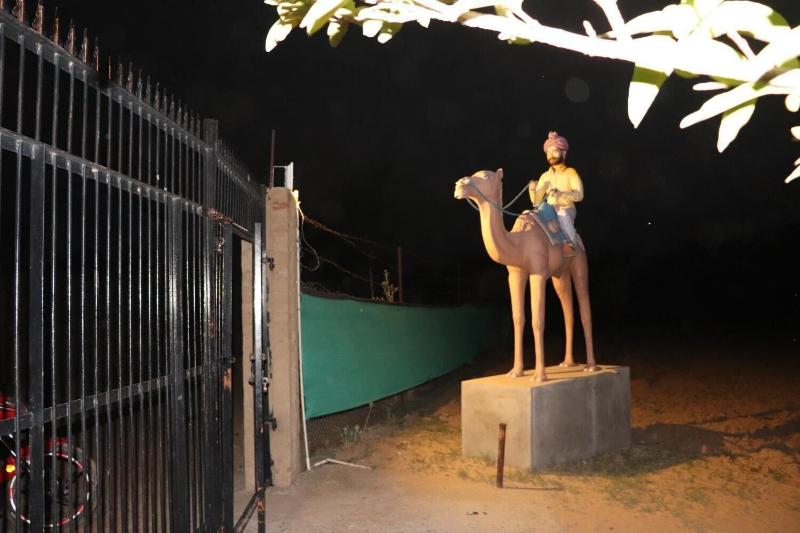Desert Nights image