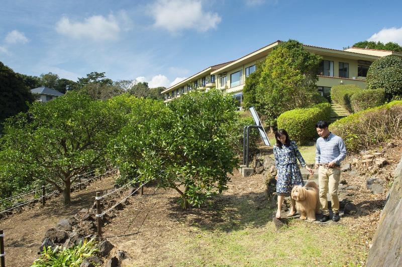 Wan's Resort Jogasaki Coast image