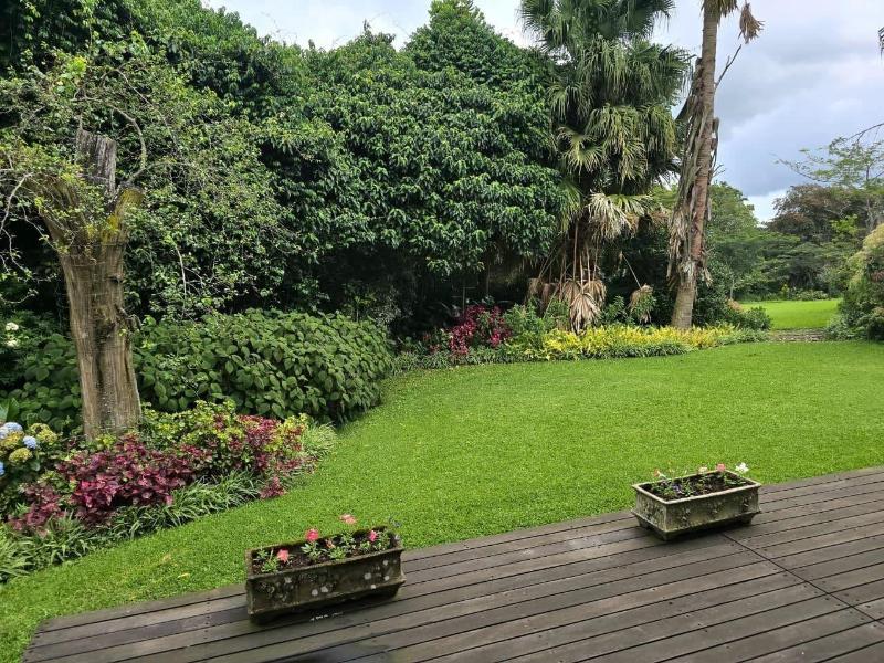 Birds Of Paradise B&b