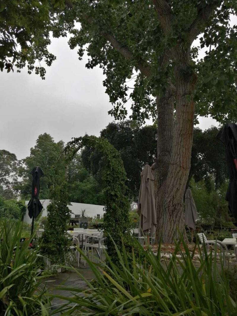 Fiore Guest Accommodation