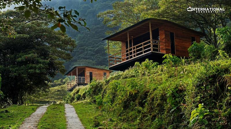 Reserva Tororoi image
