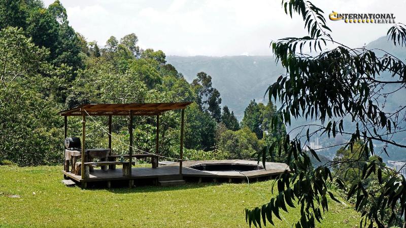 Reserva Tororoi image